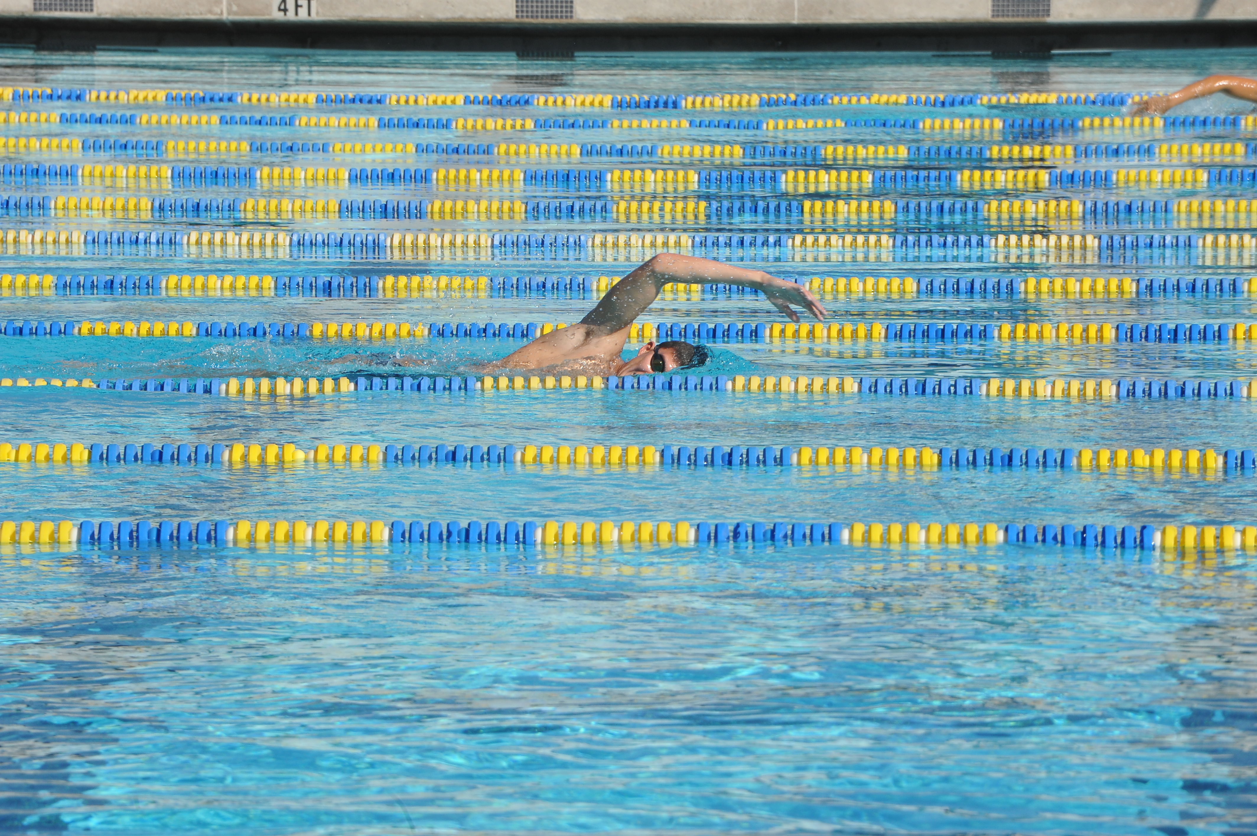 person swimming in rec cen main pool lanes