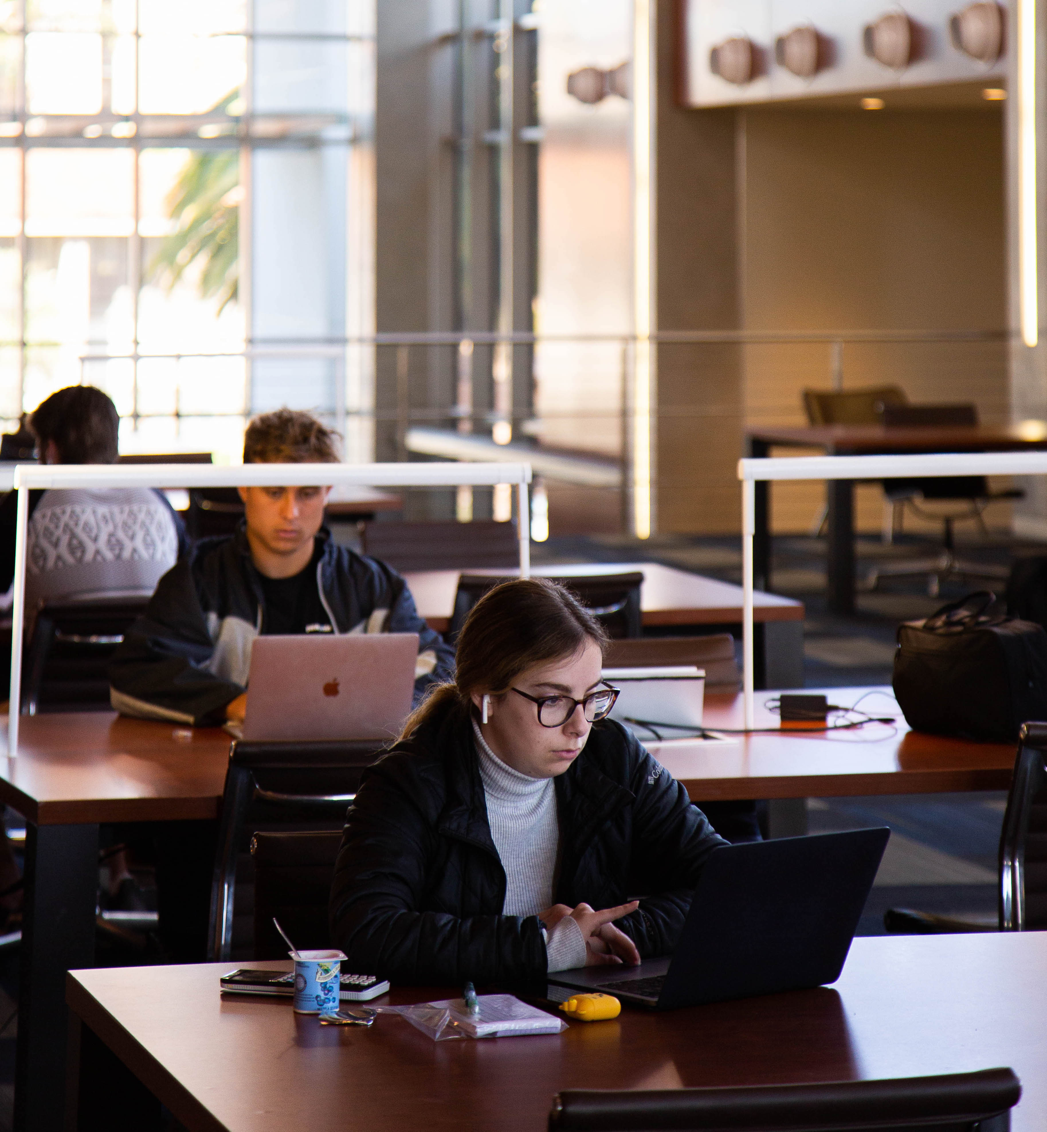 students on laptops in library