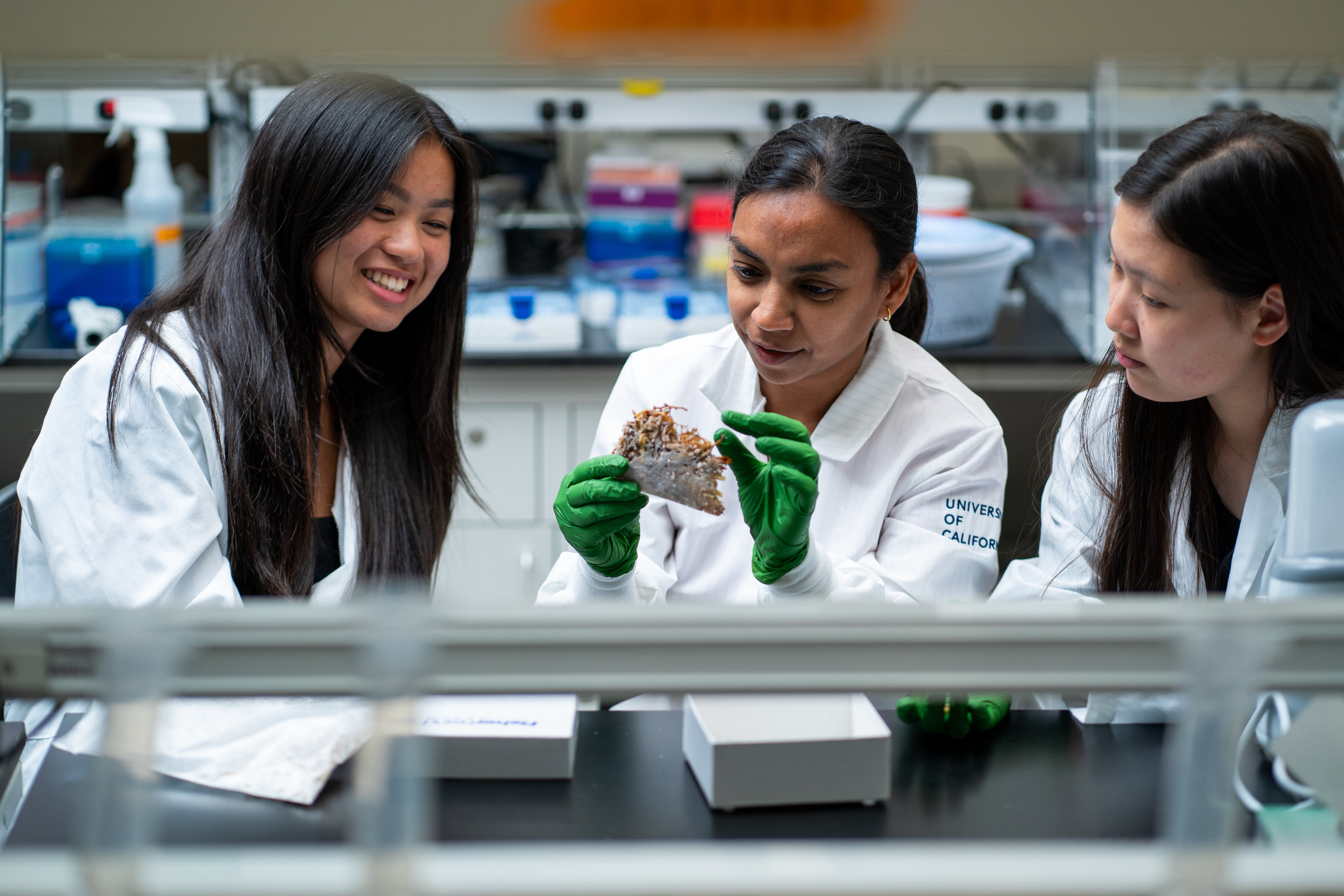 Pre-college students in a wet lab