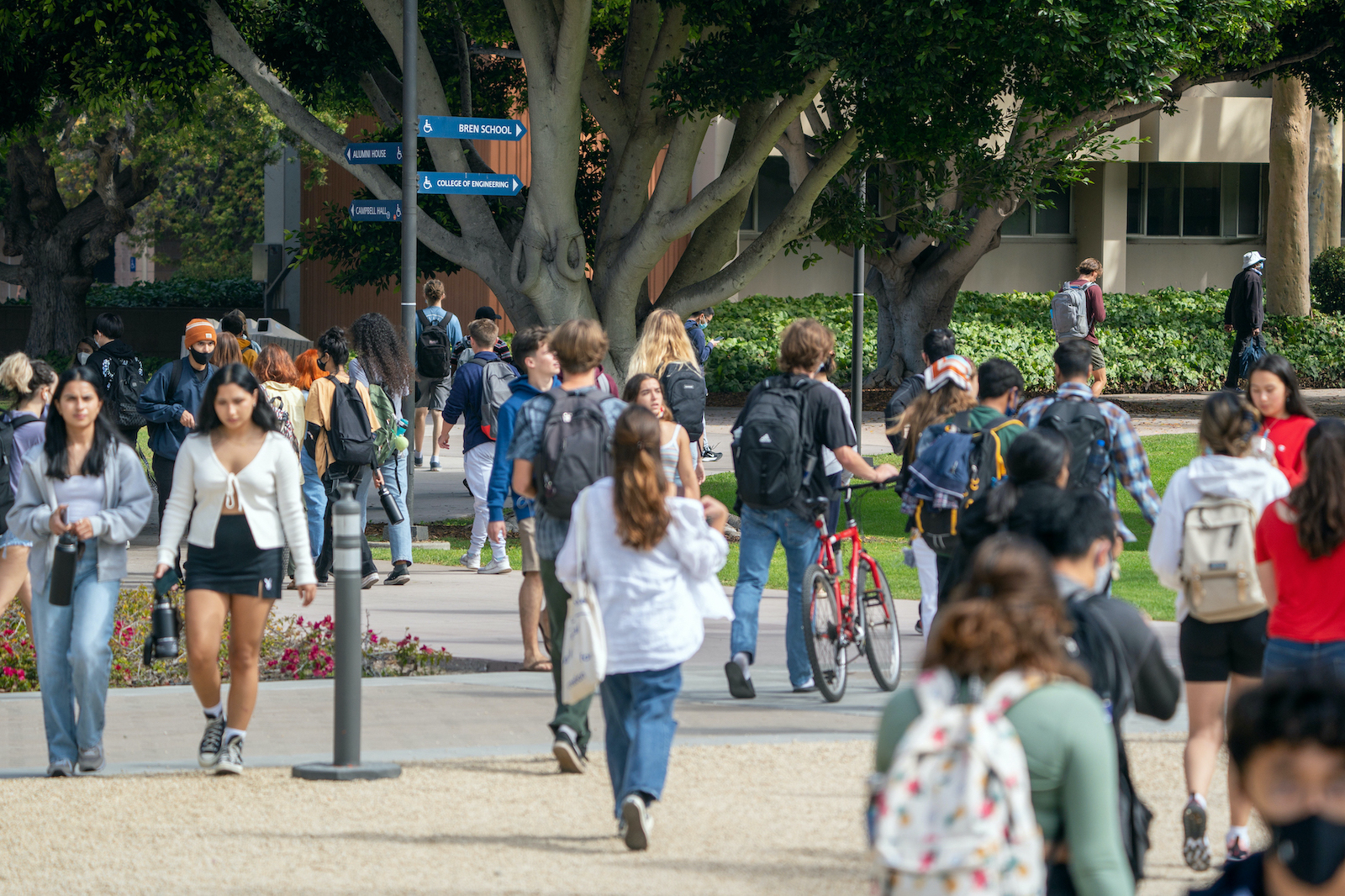 ucsb summer session